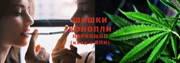 молекула духа Бронницы