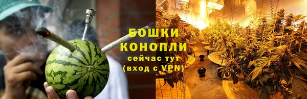 молекула духа Бугульма