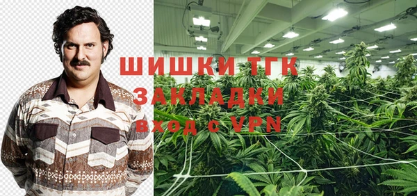 молекула духа Бронницы