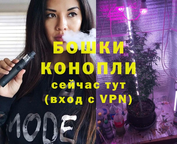молекула духа Бронницы