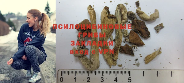 MESCALINE Бородино